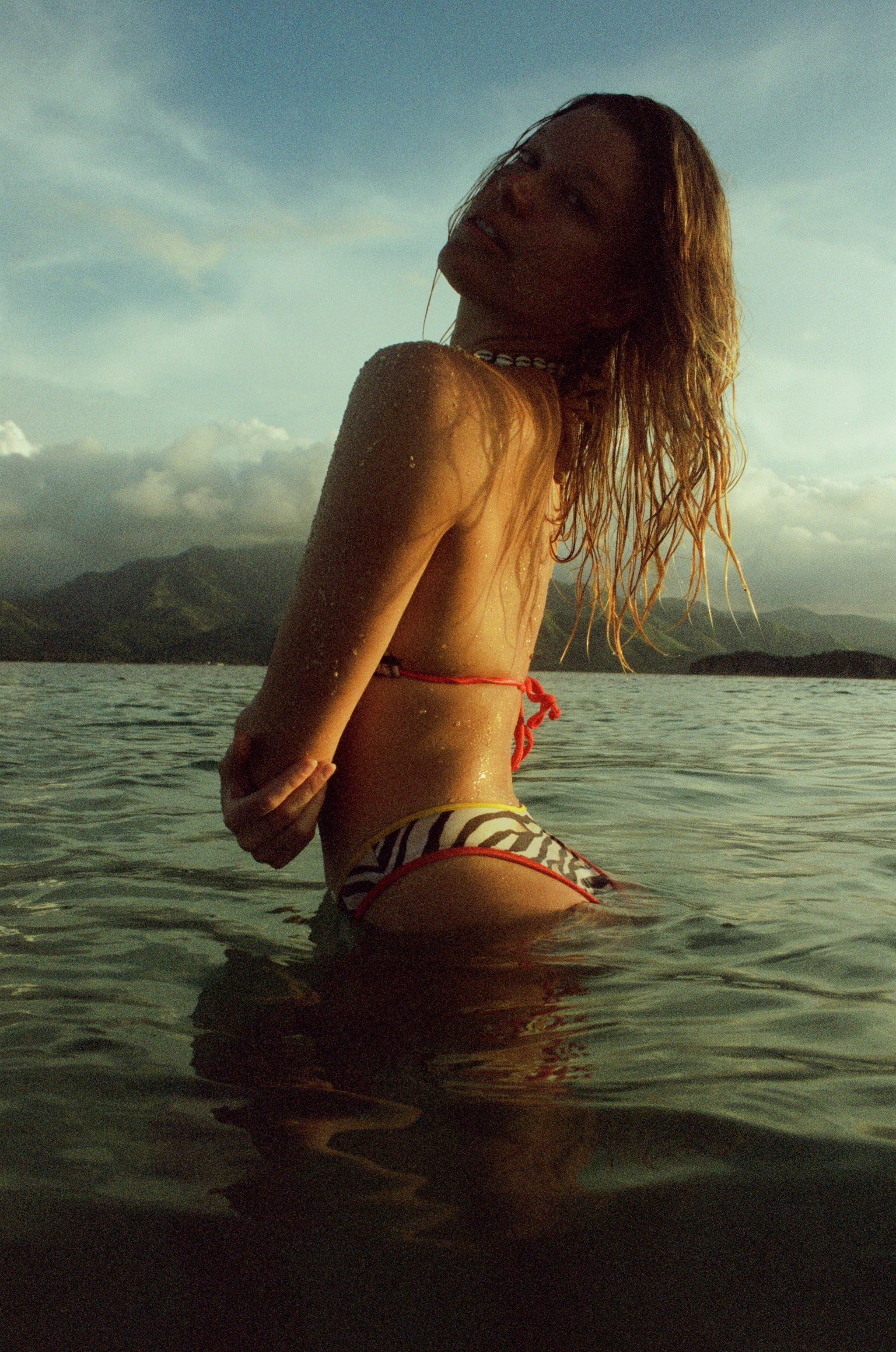 Serengeti Bikini Bottom